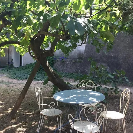 Saint Paul le Marseillais Gites Mèze Extérieur photo